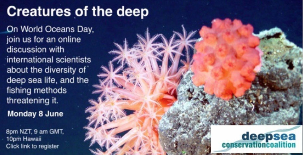 DSSC webinar creatures of the deep