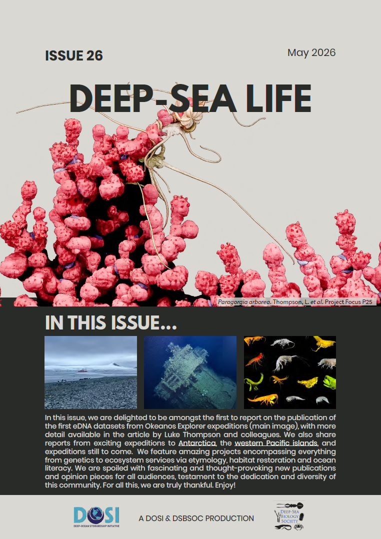 DSL26 front cover