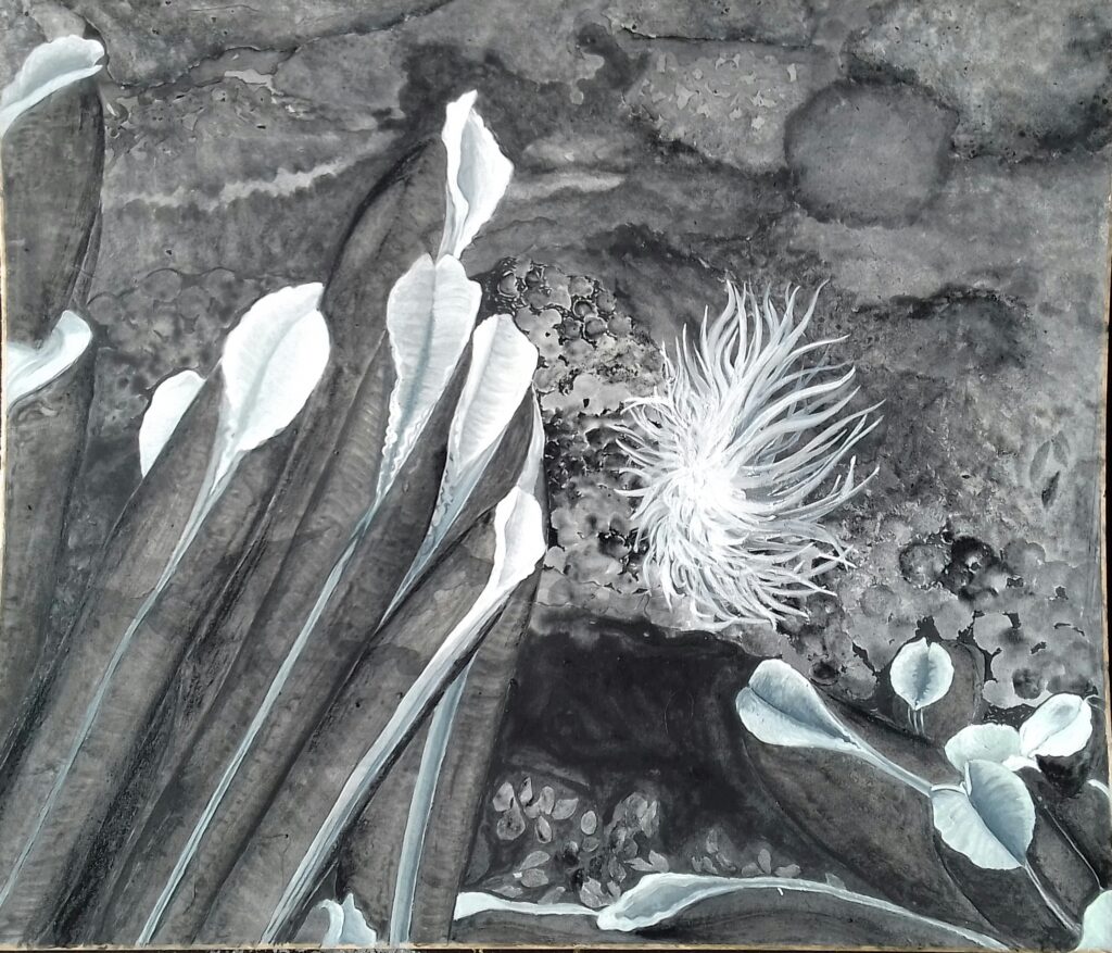 deep-sea artwork by Yves Henocque, the tube worm Riftia