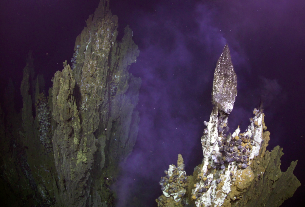 Photo of Niue Spire, hydrothermal vent, as featured in the DOSI deep sea mini course